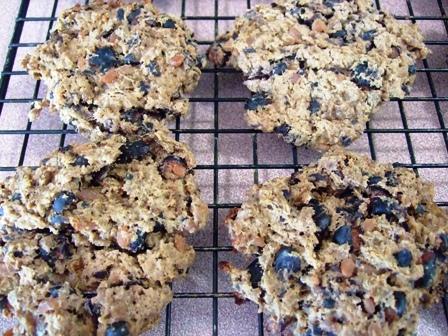 Grain-Free Beef Dog Food Treat. Photo by HokiesMom