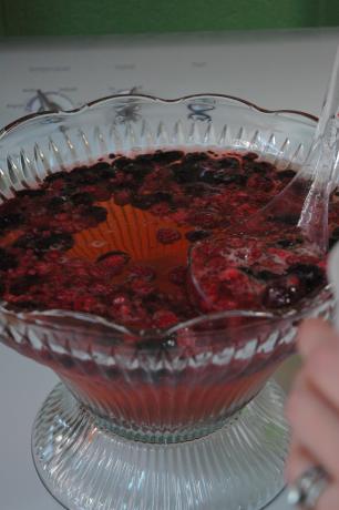 2-Ingredient Punch (Mock Champagne Punch). Photo by jodimichelle