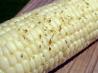 Roasted Corn With Oregano