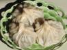 Khinkali (Ground Meat Filled Pasta Pockets). Recipe by Celticevergreen