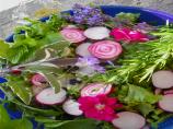 Elizabethan English Herb and Flower Salad With Honey Dressing