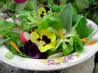 Elizabethan English Herb and Flower Salad With Honey Dressing