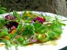 Elizabethan English Herb and Flower Salad With Honey Dressing