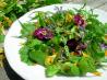 Elizabethan English Herb and Flower Salad With Honey Dressing