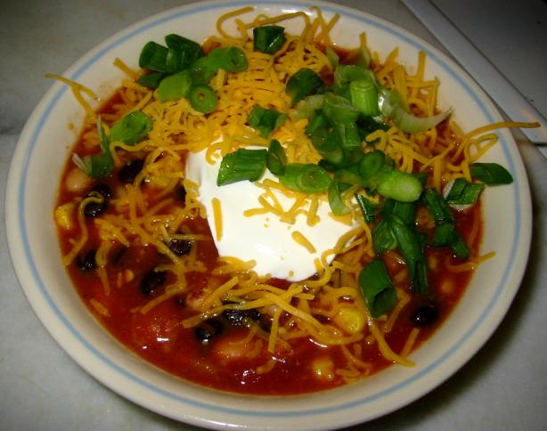 Vegetarian Taco Soup. Photo by Nina's Mom