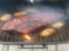 Smoked Ribs on the Grill