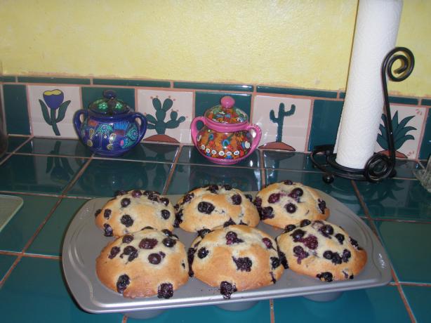 CopyCat Junior's "Berries on Top" Jumbo Blueberry Muffins. Photo by Hissy Hussy