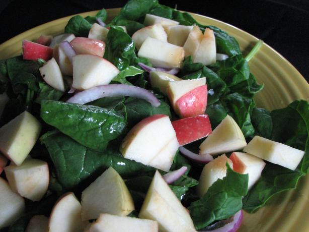 Apple Spinach Salad. Photo by Brooke the Cook in WI