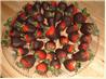 Chocolate-Covered Strawberries