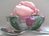 How to Make an Ice Bowl. Photo by Southern Polar Bear