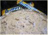 Butterfinger Pie
