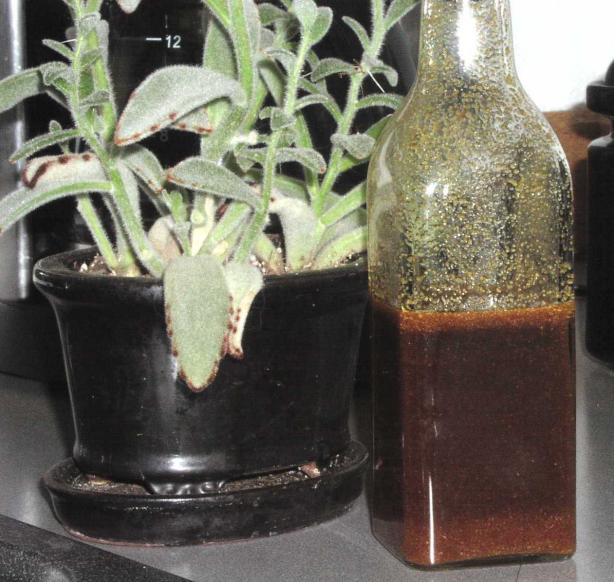 Soy Sauce Substitute With Very Low Sodium. Photo by TeresaS