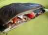 Portabella Panini With Gorgonzola Cheese and Sun-Dried Tomatoes. Recipe by FLKeysJen