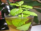 Moroccan Mint Tea