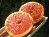 Cinnamon Honeygrapefruit