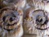 Cinnamon Rolls (Bh&g). Recipe by Steve_G