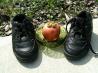 Walking Apples