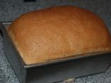 Basic Whole Wheat Bread