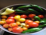 Fresh Tomato Salsa