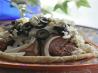 Steak Gyros