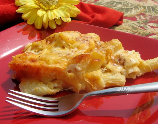 The Great American Macaroni and Cheese. Photo by lazyme