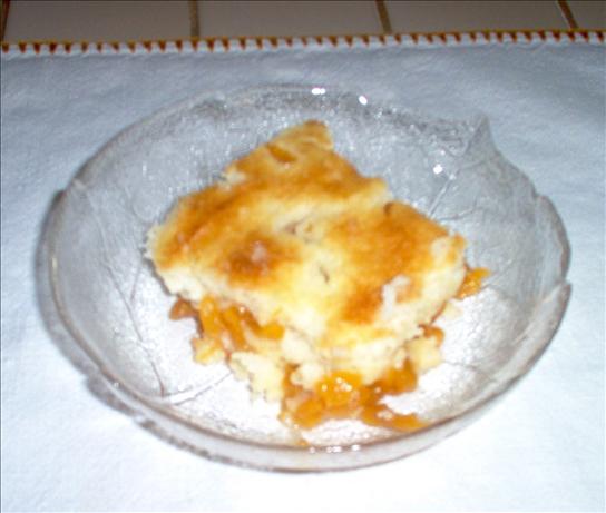 Summer Peach Pudding Dessert. Photo by Dorel