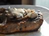 Smothered Flat Iron Steak in a Parmesan Pepper Sauce. Recipe by sexymommalucas
