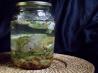 Korean Cabbage Kimchi