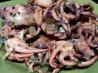 Octopus Grilled Very Tender