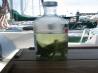 Cajun Martini