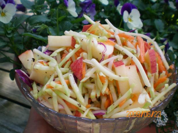 Weight Watchers Apple Cole Slaw (1-Point). Photo by CoffeeB