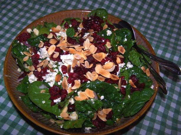 Craisins Spinach Salad. Photo by **Jubes**