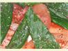 Basil & Tomato Salad