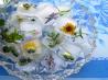 Flowers and Posies Frozen in Time! Fresh Floral Ice Cubes. Recipe by French Tart