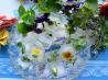 Flowers and Posies Frozen in Time! Fresh Floral Ice Cubes