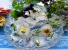 Flowers and Posies Frozen in Time! Fresh Floral Ice Cubes