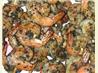 Grilled Shrimp