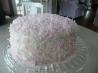 Raspberry Coconut Cake