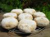 Scottish Baps - Soft Morning Bread Rolls