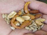 Spiced Nut Snack