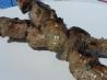 Shishlik (Israeli Skewers)