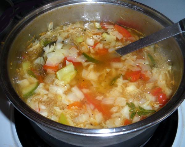Easy Low Fat, Low Carb Low Cal Diet Soup. Photo by Bergy