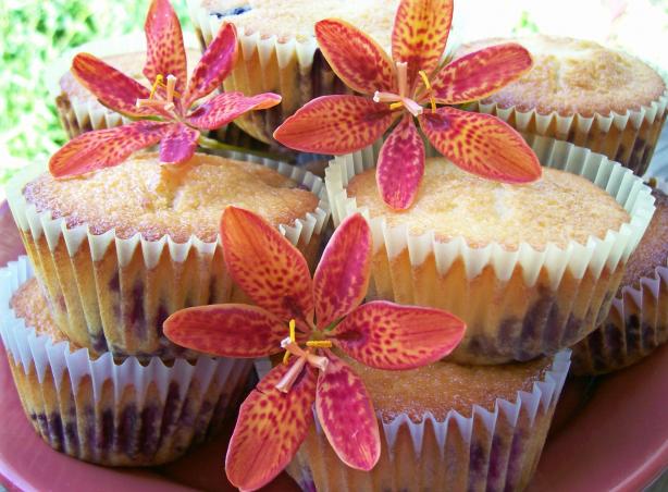 Zesty Blueberry Muffins. Photo by Crafty Lady 13