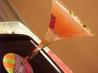 Cosmo De San Jose