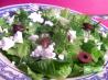 A Different Greek Salad