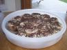 Tiramisu Cupcakes (Uses Cake Mix)