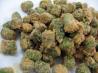 Fried Okra
