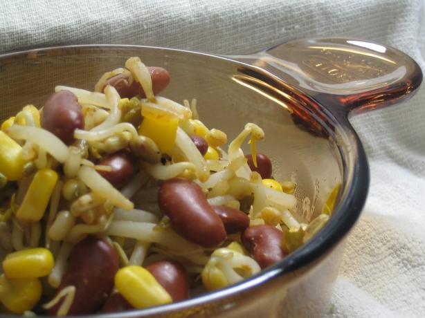 Outrageously Easy and Healthy Bean, Corn and Sprouts Bowl for One (Vegan). Photo by brokenburner