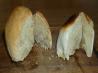 Native Biscuit Bread