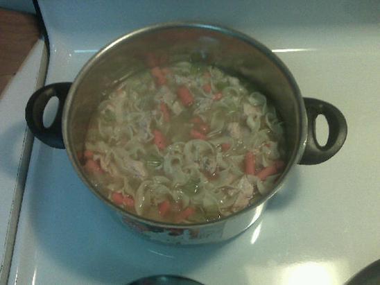 Easy Chicken Noodle Soup. Photo by Mannixx